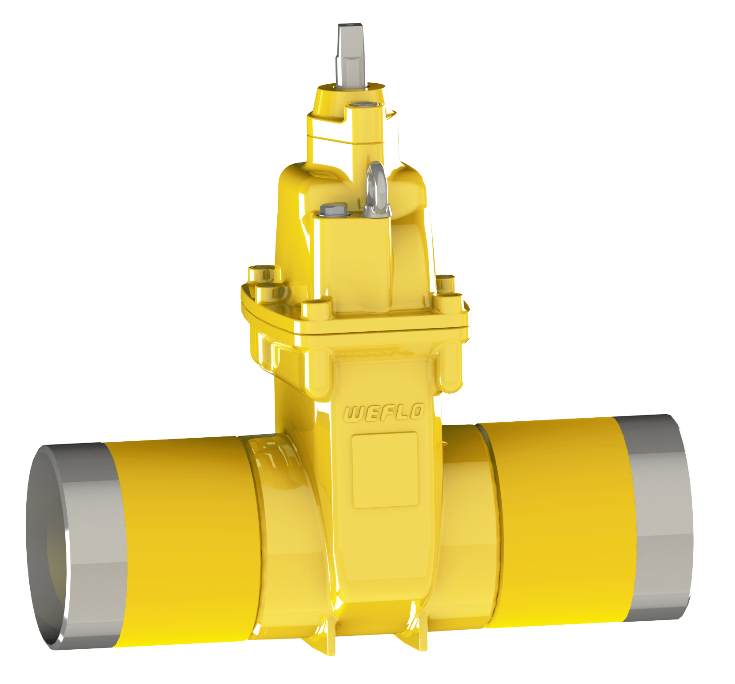 ������ʱ- �������ǲ�!